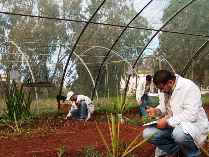 Three researchers in white coats examining plants in a greenhouse. The one in front is writing in a notepad. The second two are in the background looking at the ground.