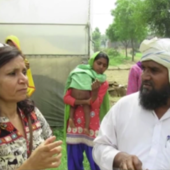 India Toolkit Testimonial Video